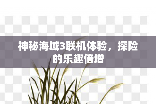 神秘海域3联机体验图片