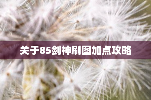关于85剑神刷图加点攻略图片