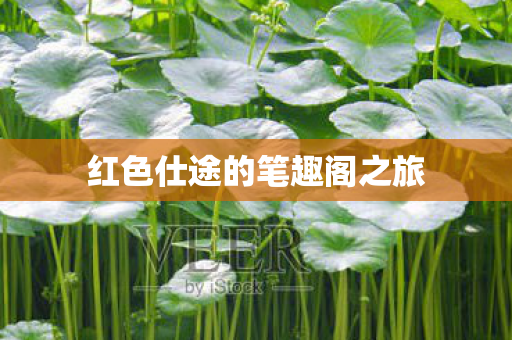 红色仕途的笔趣阁之旅图片
