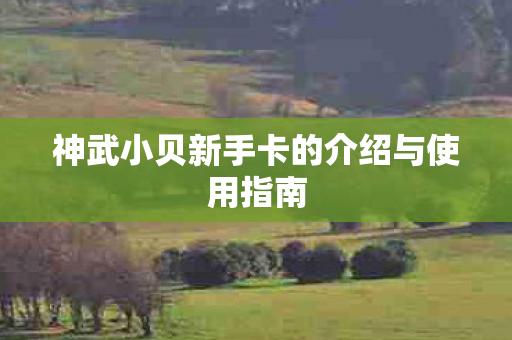 神武小贝新手卡的介绍与使用指南图片