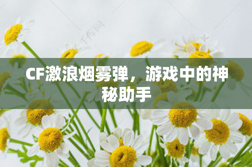 游戏中的神秘助手图片
