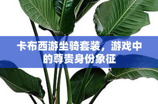 游戏中的尊贵身份象征图片