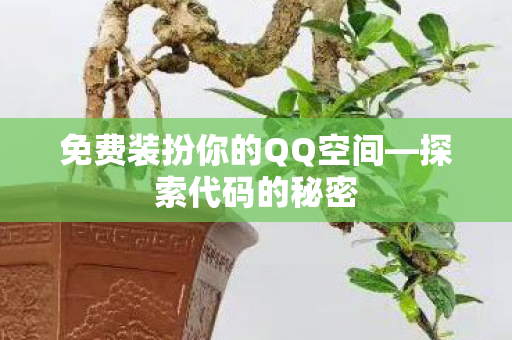 免费装扮你的QQ空间图片