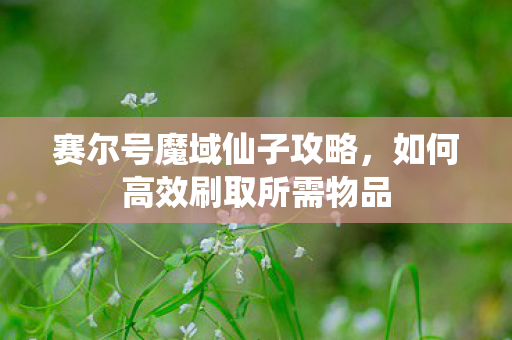 如何高效刷取所需物品图片