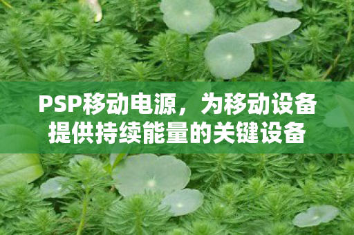 为移动设备提供持续能量的关键设备图片
