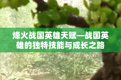 战国英雄的独特技能与成长之路图片