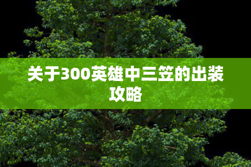 关于300英雄中三笠的出装攻略图片