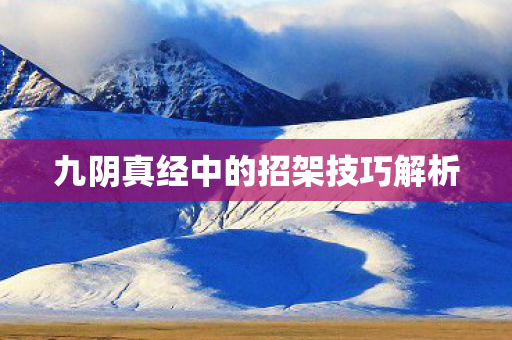 九阴真经中的招架技巧解析图片