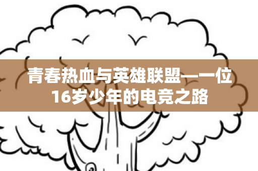 一位16岁少年的电竞之路图片
