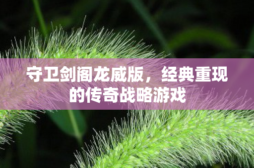 经典重现的传奇战略游戏图片