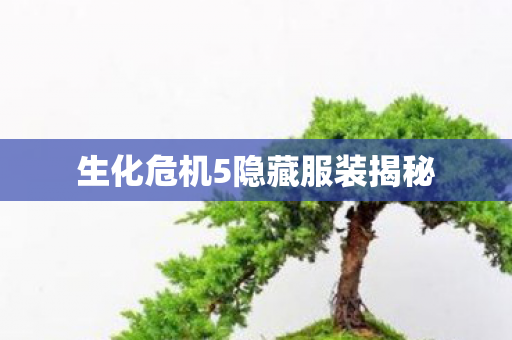 生化危机5隐藏服装揭秘图片