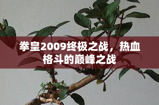 拳皇2009终极之战图片