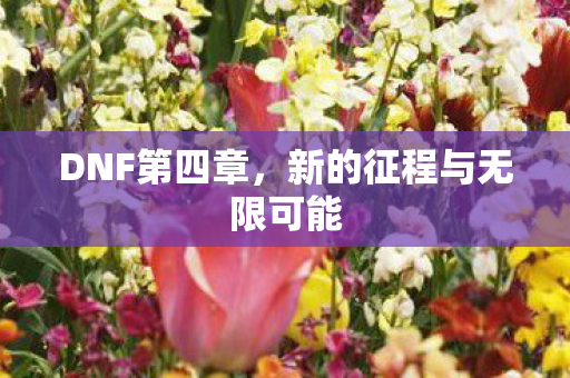 新的征程与无限可能图片