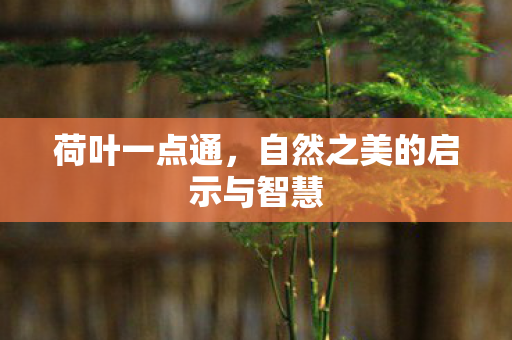 自然之美的启示与智慧图片