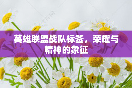 英雄联盟战队标签图片